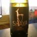 shaya verdejo spain